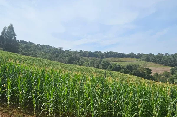 Chácara para venda próximo a Pato Branco
