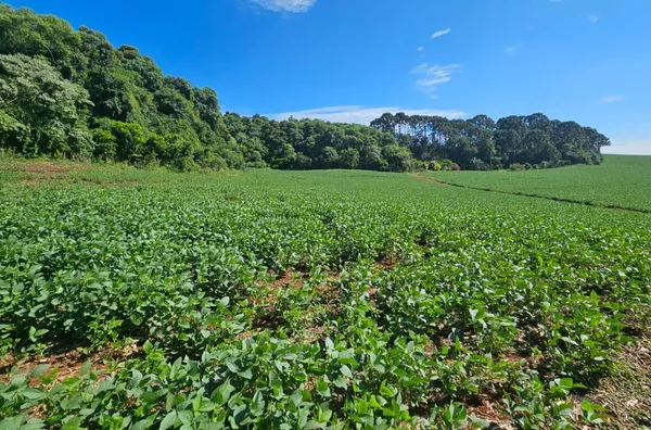 Chácara para venda próxima à comunidade do Passo da Ilha,