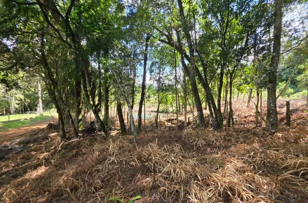 Chácara para venda,  Passo da Ilha. 