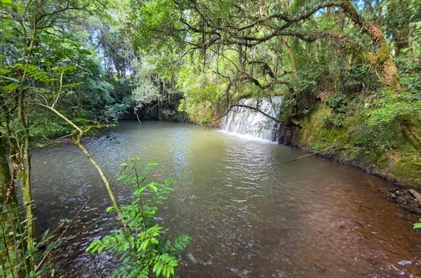 Chácara para venda comunidade de São João Batista 