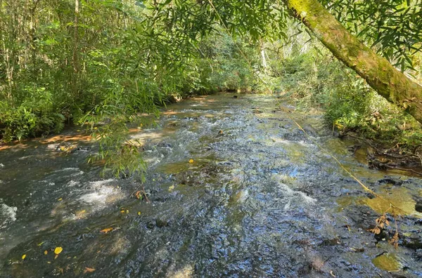 Chácara para venda comunidade de São João Batista 