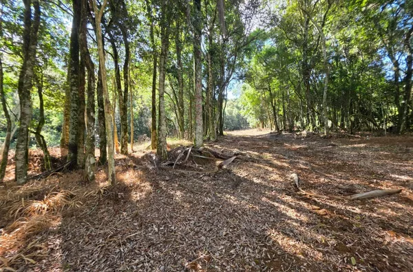 Chácara para venda,  Passo da Ilha. 