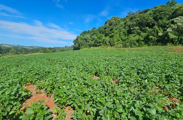Chácara para venda próxima à comunidade do Passo da Ilha,