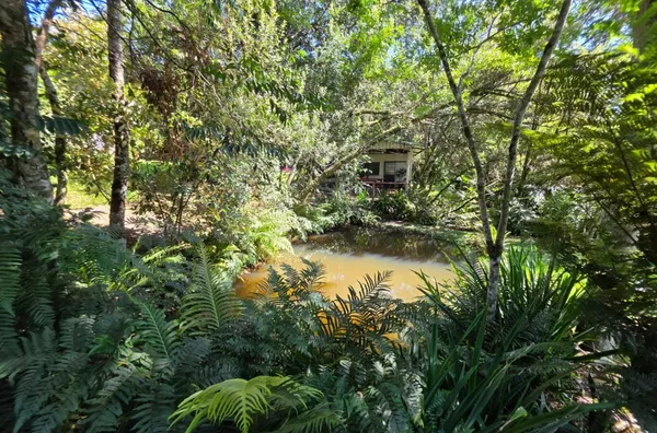 Chácara para venda,  Passo Da Pedra, Pato Branco