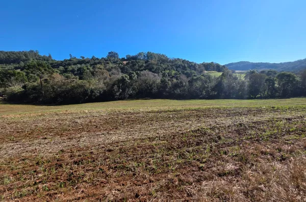 Chácara para venda - 9 KM de Pato Branco 