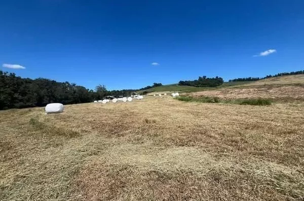 Chácara para venda Linha Baú – Mariópolis/PR 