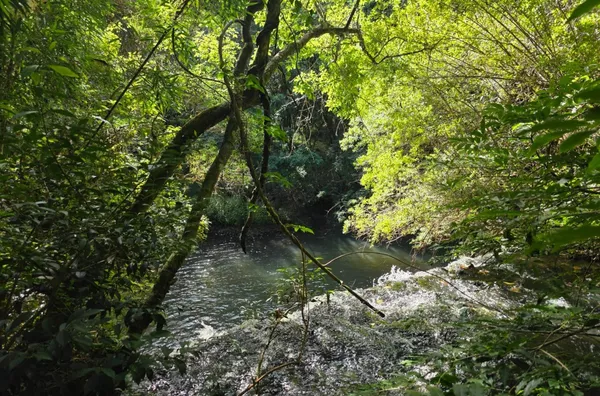 Chácara para venda comunidade de São João Batista 
