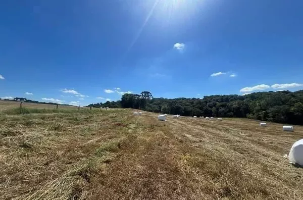 Chácara para venda Linha Baú – Mariópolis/PR 