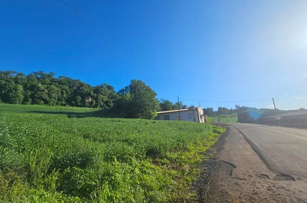 Chácara para venda em São Caetano em Pato Branco