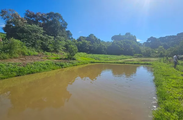 Chácara para venda 1 km do Parque do Som em Pato Branco
