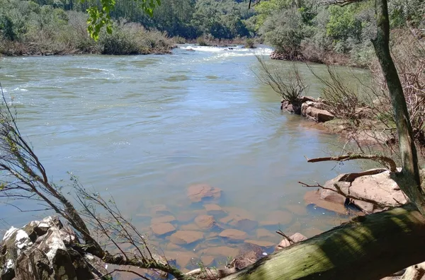 CHÁCARA DISPONÍVEL PARA VENDA 