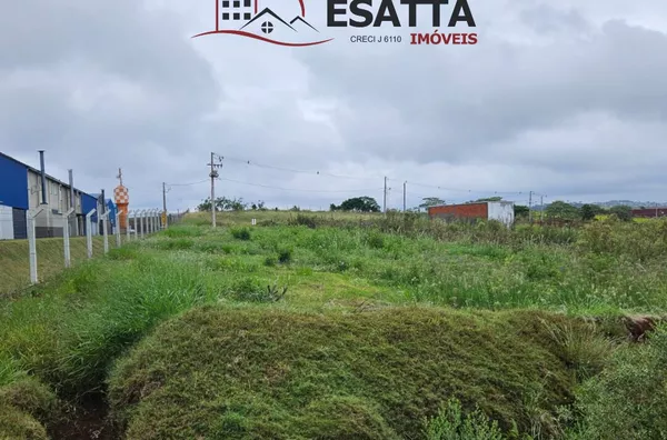 Terreno para venda no bairro Fraron - Pato Branco 