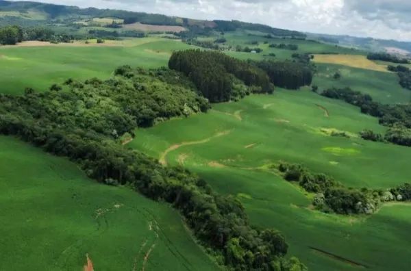 Área para venda próximo a BR sentindo a Campo Erê