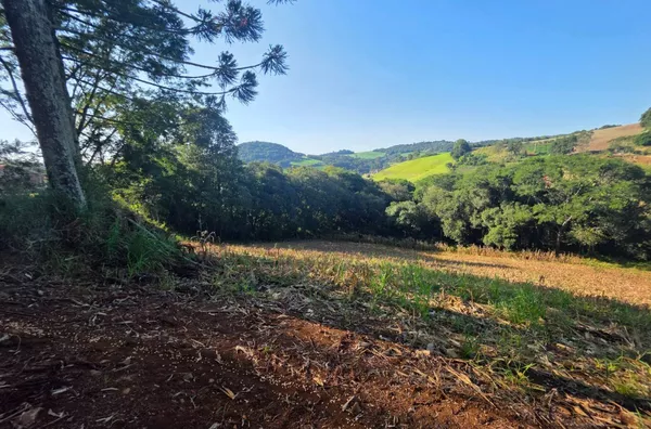 Chácara para venda Linha Cachoeirinha 