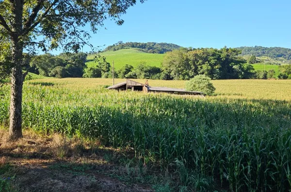 Chácara para venda linha São Caetano 