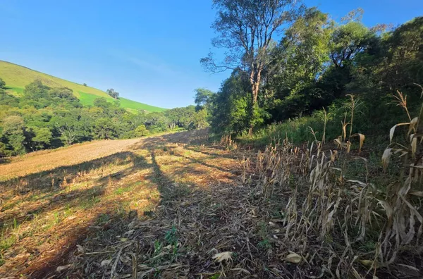 Chácara para venda Linha Cachoeirinha 