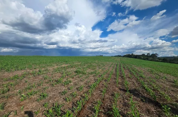 ÁREA DE TERRA À VENDA – LINHA BOM RETIRO