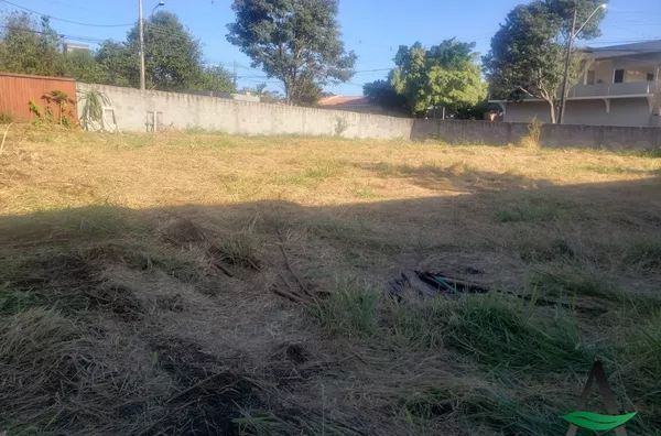 Arapongas - Terreno - Jardim Panorama