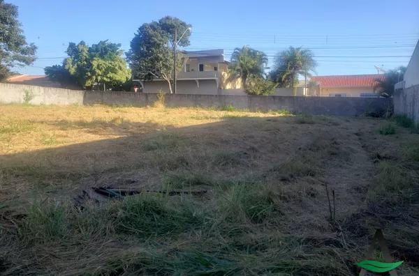 Arapongas - Terreno - Jardim Panorama