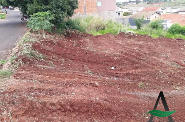 Cornélio Procópio - Terreno - Jardim Veneza 