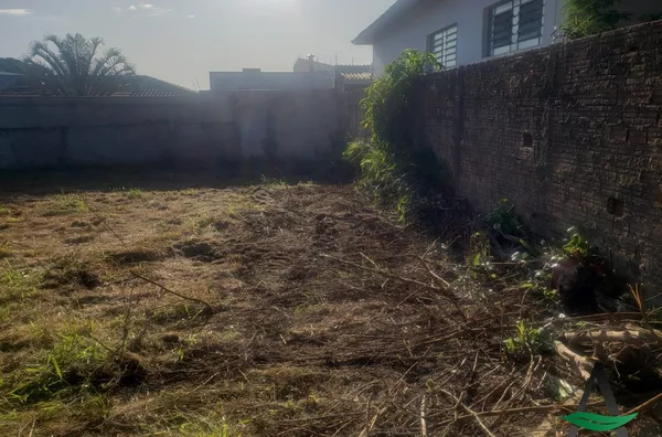 Arapongas - Terreno - Jardim Panorama