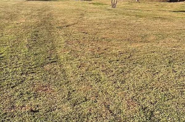  Cambé - Terreno - Estância Cabral