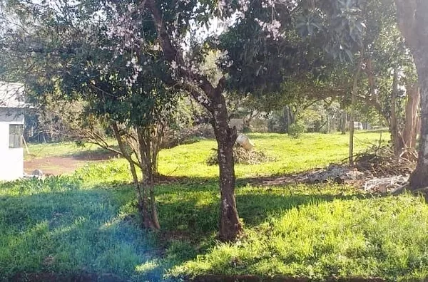 TERRENO 16