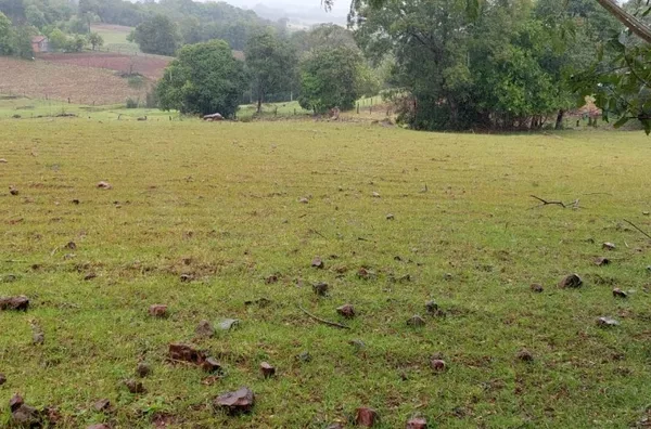VENDA 3,5HA ENTRE IJUÍS