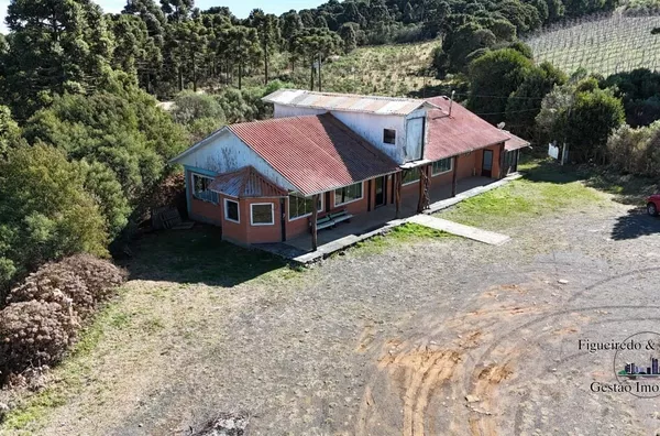 Edificação Comercial Mista para aluguel,  , São Joaquim