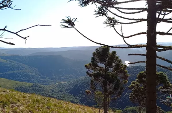 Terreno Rural / Ausentes-RS
