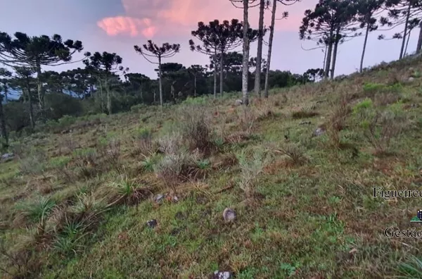 Terreno Rural 12 - Fazenda Morro Agudo 