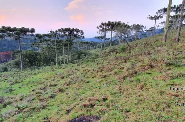 Terreno rural para ,  - Selecione - Bairro, São Joaquim