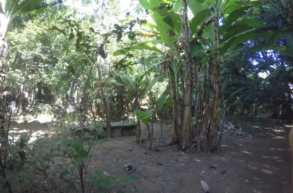 Terreno Estrada do Bananal, Freguesia, Jacarépagua