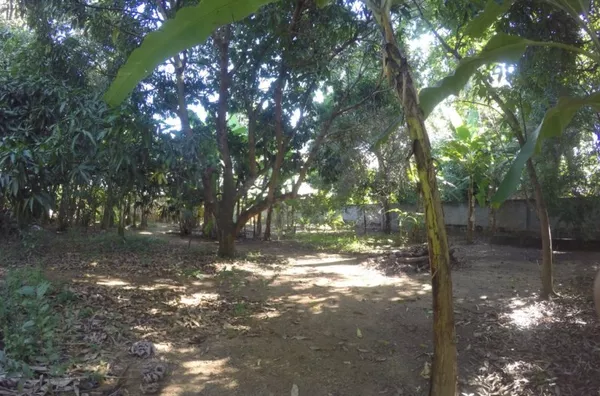 Terreno Estrada do Bananal, Freguesia, Jacarépagua