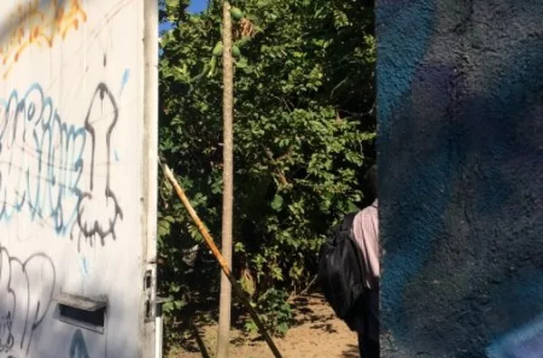 Terreno Estrada do Bananal, Freguesia, Jacarépagua