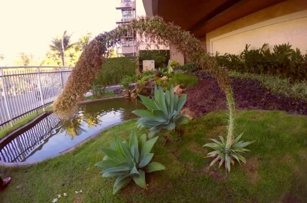 Estrada Benvindo de Novaes.