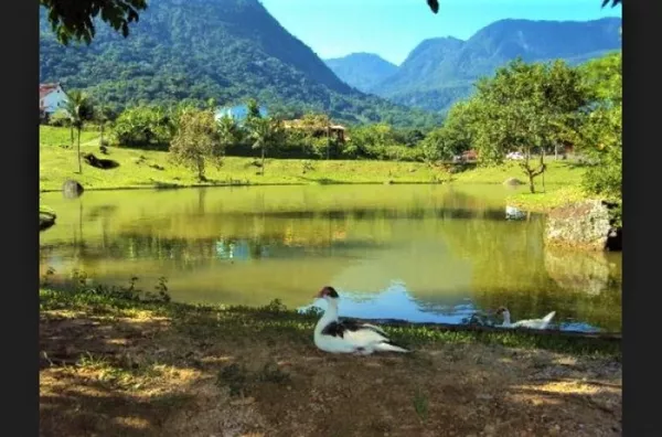 Estrada do Limoeiro, Guapimirim.