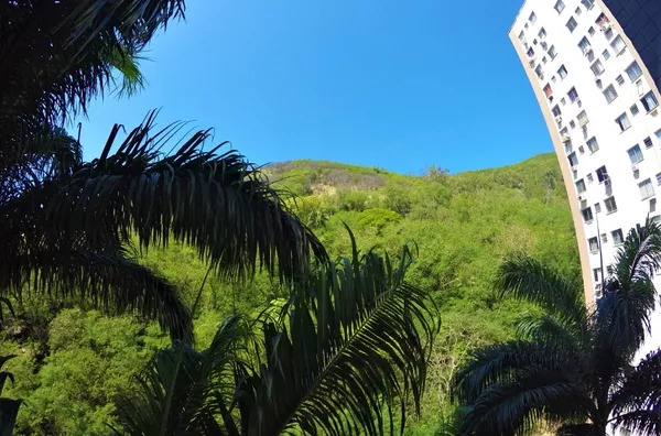 Rua Araújo Leitão, Engenho Novo.