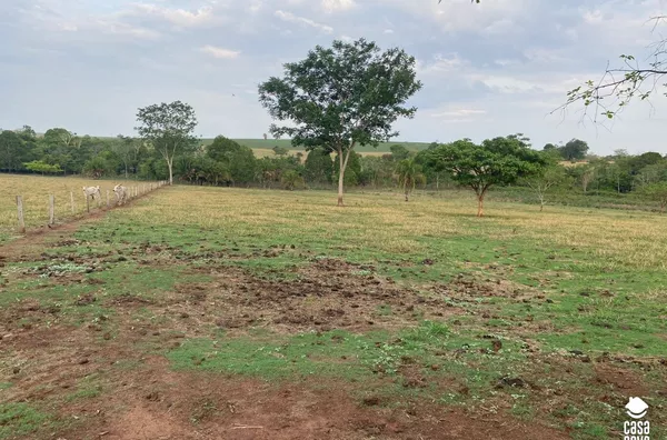 Sítio para venda,  - Selecione - Bairro, Tangará Da Serra