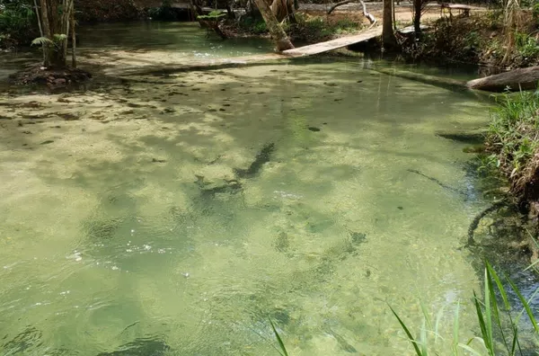 Chácara para venda, Deciolândia, Tangará da Serra