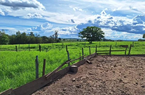 Sítio para venda,  Zona Rural, Tangará Da Serra