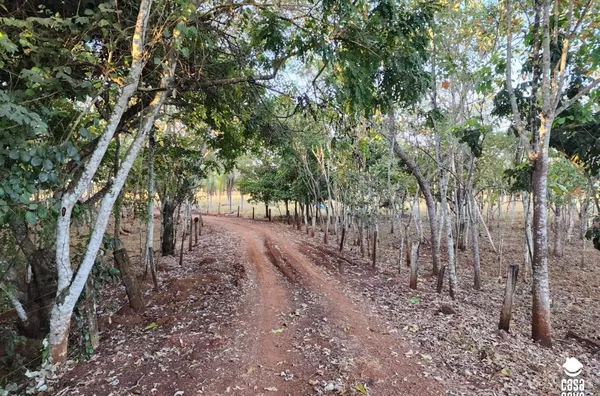 Sítio para venda,  Comunidade Bandeirante, Tangará Da Serra