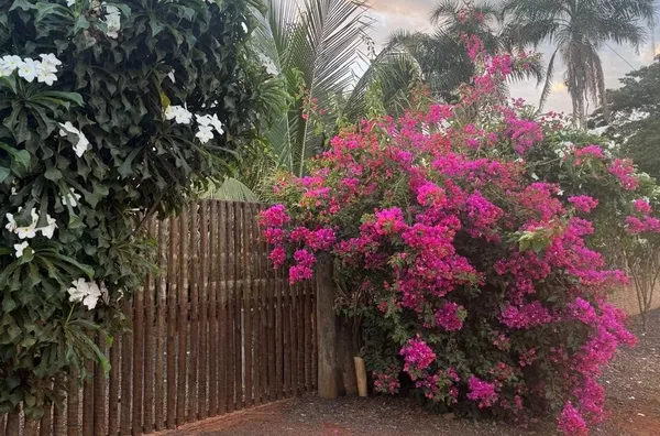 Chácara para venda,  Zona Rural, Tangará Da Serra