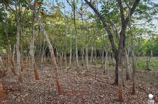 Sítio para venda,  Comunidade Bandeirante, Tangará Da Serra
