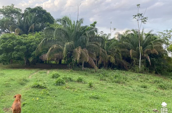 Sítio para venda,  - Selecione - Bairro, Tangará Da Serra