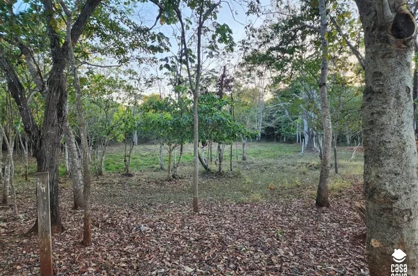 Sítio para venda,  Comunidade Bandeirante, Tangará Da Serra