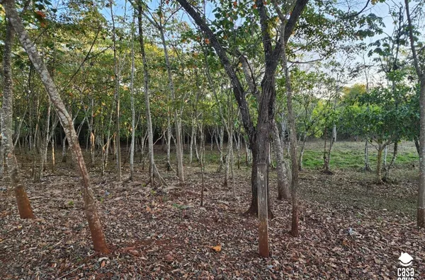 Sítio para venda,  Comunidade Bandeirante, Tangará Da Serra