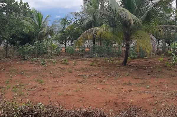Terreno para venda 