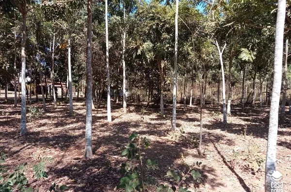 Terreno para venda,  Joaquim Do Boche, Tangará Da Serra