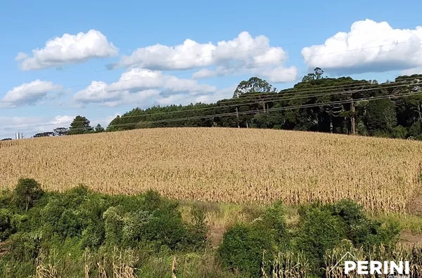 Área de Terra Farroupilha